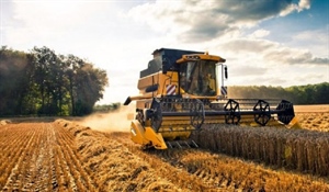 Legge di Bilancio, Mercuri: “Positivo lo stanziamento di 2 miliardi per l'agricoltura, bene la sospensione straordinaria degli ammortamenti e i fondi per la gestione del rischio”